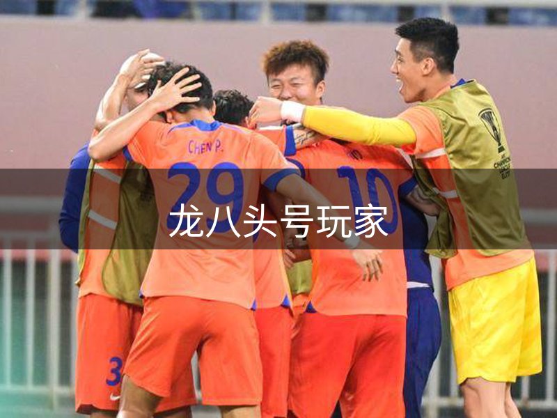 关于龙八头号玩家